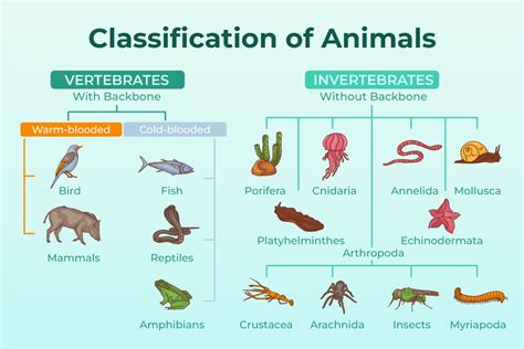 most horny animals|TIL there only three species in the animal kingdom that have ...